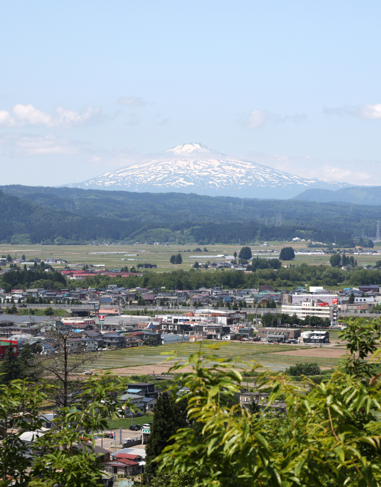 なぜソフトクリームだったのか